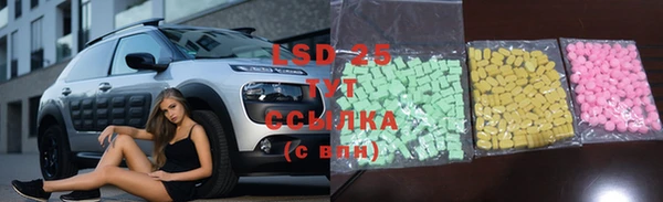 круглые Аркадак