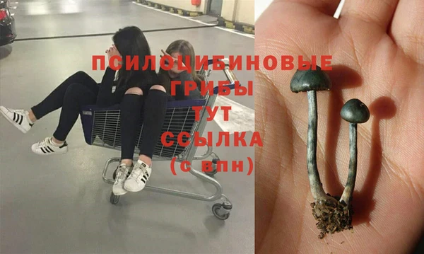 марки nbome Алексин