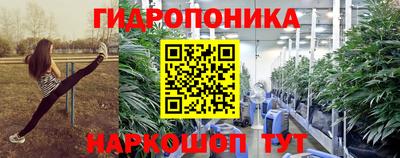 spice Мариинск