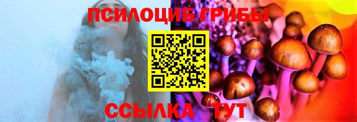 Строитель  Псилоцибиновые грибы мицелий  Вход с VPN 